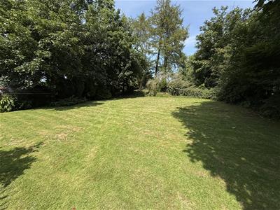 Picture 16